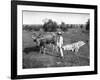 Native Cart in Manila, Philippines, 1908-1909-Homer L Knight-Framed Giclee Print