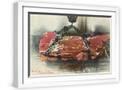 White Frame
