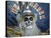 Native Dancer in Mask and Headdress, La Paz, Bolivia-Jim Zuckerman-Stretched Canvas