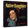 Native Daughter Brand - Santa Susana, California - Citrus Crate Label-Lantern Press-Framed Stretched Canvas