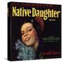 Native Daughter Brand - Santa Susana, California - Citrus Crate Label-Lantern Press-Stretched Canvas