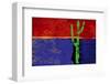 Native Desert II-Parker Greenfield-Framed Art Print