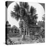 Native House Built on Piles, Bhamo, Burma, 1908-null-Stretched Canvas