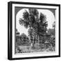 Native House Built on Piles, Bhamo, Burma, 1908-null-Framed Photographic Print