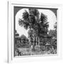 Native House Built on Piles, Bhamo, Burma, 1908-null-Framed Photographic Print