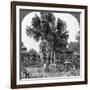 Native House Built on Piles, Bhamo, Burma, 1908-null-Framed Photographic Print