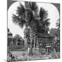 Native House Built on Piles, Bhamo, Burma, 1908-null-Mounted Photographic Print