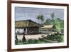 Native Houses in a Jungle of Brazil, 1800s-null-Framed Giclee Print