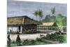 Native Houses in a Jungle of Brazil, 1800s-null-Mounted Giclee Print