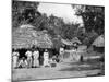 Native Huts, Jamaica, C1905-Adolphe & Son Duperly-Mounted Giclee Print