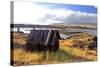 Native Indian Abandoned Building-sphraner-Stretched Canvas