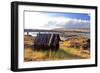 Native Indian Abandoned Building-sphraner-Framed Photographic Print