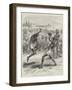 Native Indian Soldiers' Games in Camp at Malta, a Match at Single-Stick-null-Framed Giclee Print