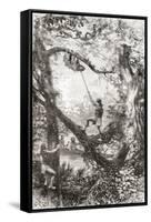 Native Indians Capturing a Tree Sloth on the Oyapock or Oiapoque River, South America-null-Framed Stretched Canvas