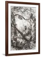 Native Indians Capturing a Tree Sloth on the Oyapock or Oiapoque River, South America-null-Framed Giclee Print
