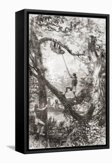 Native Indians Capturing a Tree Sloth on the Oyapock or Oiapoque River, South America-null-Framed Stretched Canvas