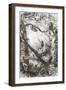 Native Indians Capturing a Tree Sloth on the Oyapock or Oiapoque River, South America-null-Framed Giclee Print