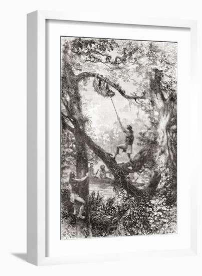 Native Indians Capturing a Tree Sloth on the Oyapock or Oiapoque River, South America-null-Framed Giclee Print