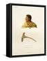 Native of the Bass Islands-Ambroise Tardieu-Framed Stretched Canvas