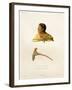 Native of the Bass Islands-Ambroise Tardieu-Framed Giclee Print