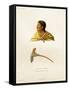 Native of the Bass Islands-Ambroise Tardieu-Framed Stretched Canvas