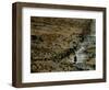 Native Peoples, Inca Road, Empires of the Sun, Lake Titicaca, Copacabana, Andes, Bolivia-Kenneth Garrett-Framed Photographic Print