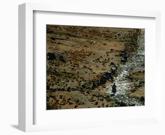 Native Peoples, Inca Road, Empires of the Sun, Lake Titicaca, Copacabana, Andes, Bolivia-Kenneth Garrett-Framed Photographic Print