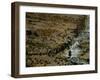 Native Peoples, Inca Road, Empires of the Sun, Lake Titicaca, Copacabana, Andes, Bolivia-Kenneth Garrett-Framed Photographic Print