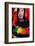 Native Peruvian Dancer and Dress-Darrell Gulin-Framed Photographic Print