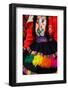 Native Peruvian Dancer and Dress-Darrell Gulin-Framed Photographic Print