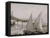 Native Sailboats, San Juan, P.R.-null-Framed Stretched Canvas