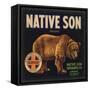 Native Son Brand - Lindsay, California - Citrus Crate Label-Lantern Press-Framed Stretched Canvas