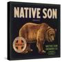 Native Son Brand - Lindsay, California - Citrus Crate Label-Lantern Press-Stretched Canvas