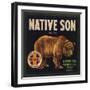 Native Son Brand - Lindsay, California - Citrus Crate Label-Lantern Press-Framed Art Print