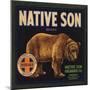 Native Son Brand - Lindsay, California - Citrus Crate Label-Lantern Press-Mounted Art Print