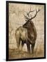 Native Spirit 2-Elizabeth Hope-Framed Giclee Print