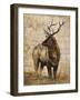 Native Spirit 2-Elizabeth Hope-Framed Premium Giclee Print