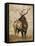 Native Spirit 2-Elizabeth Hope-Framed Stretched Canvas