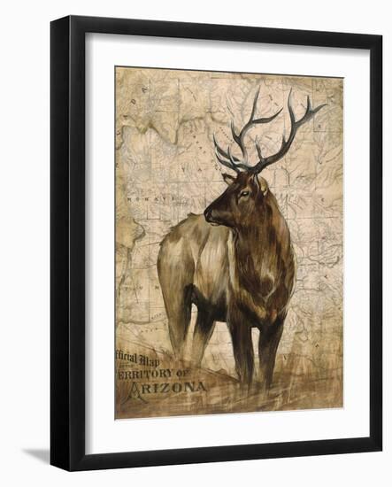 Native Spirit 2-Elizabeth Hope-Framed Giclee Print