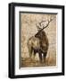 Native Spirit 2-Elizabeth Hope-Framed Premium Giclee Print