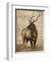 Native Spirit 2-Elizabeth Hope-Framed Giclee Print