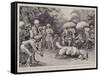 Native Sport in India, a Ram Fight in Bengal-William T. Maud-Framed Stretched Canvas