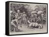 Native Sport in India, a Ram Fight in Bengal-William T. Maud-Framed Stretched Canvas