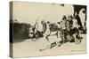 Native Transport in Cairo, Egypt-null-Stretched Canvas