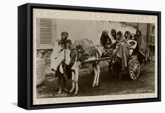 Native Transport in Egypt-null-Framed Stretched Canvas