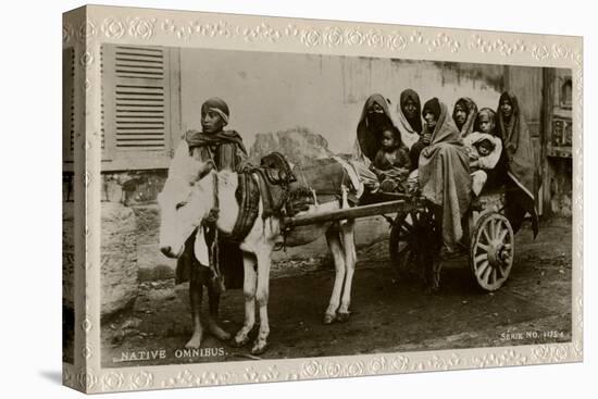 Native Transport in Egypt-null-Stretched Canvas