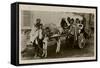 Native Transport in Egypt-null-Framed Stretched Canvas