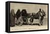 Native Transport in Egypt-null-Framed Stretched Canvas
