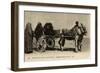 Native Transport in Egypt-null-Framed Photographic Print