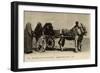 Native Transport in Egypt-null-Framed Photographic Print